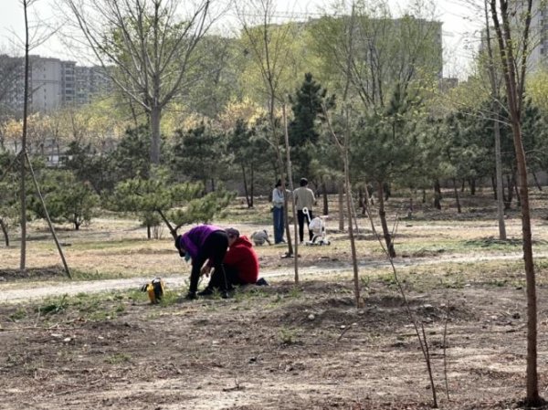 悦来网 调查：年轻人追捧“挖野菜自由”，专家警示健康环境双风险