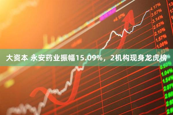 大资本 永安药业振幅15.09%，2机构现身龙虎榜