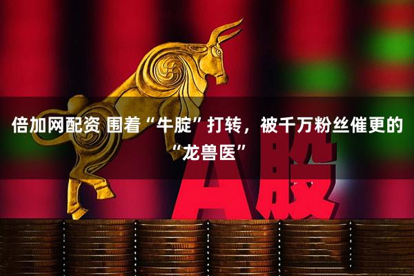倍加网配资 围着“牛腚”打转，被千万粉丝催更的“龙兽医”