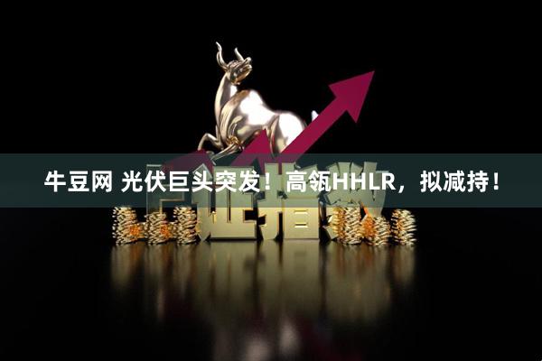 牛豆网 光伏巨头突发！高瓴HHLR，拟减持！